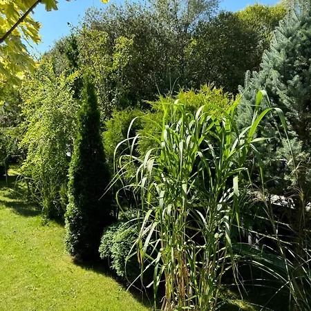 Nowoczesny Z Ogrodem Mielno (Koszalin)