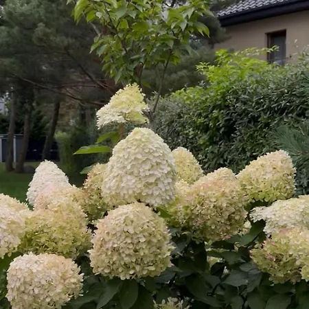 Semesterbostad Nowoczesny Z Ogrodem