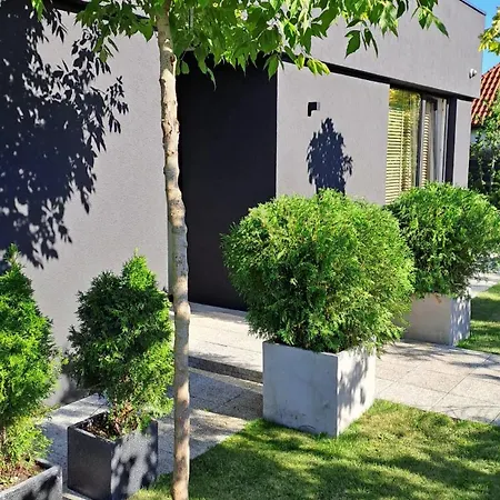 Nowoczesny Z Ogrodem