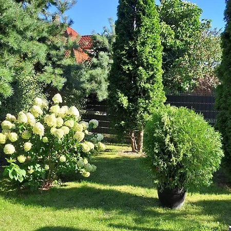 Nowoczesny Z Ogrodem